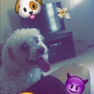 Meet your Posher, Devin